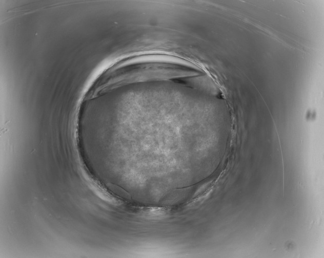 X0000093720056200711131023