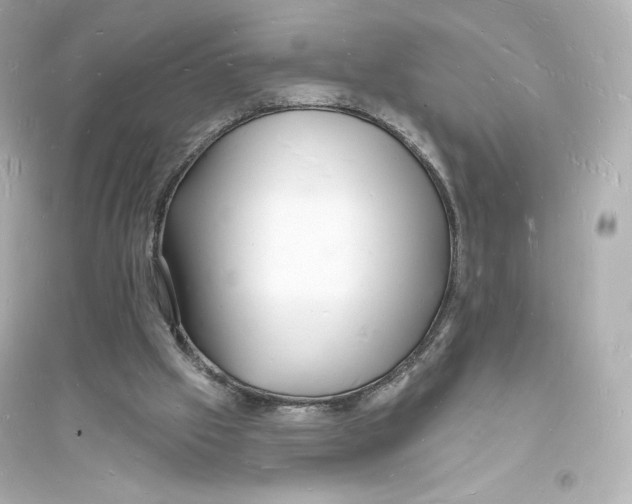 X0000093720057200711131023