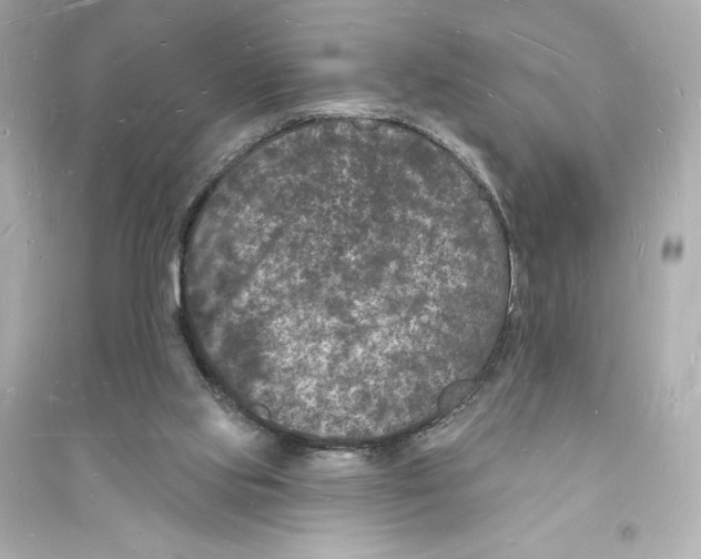 X0000093720061200711131024