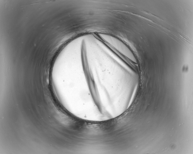 X0000093720062200711131024