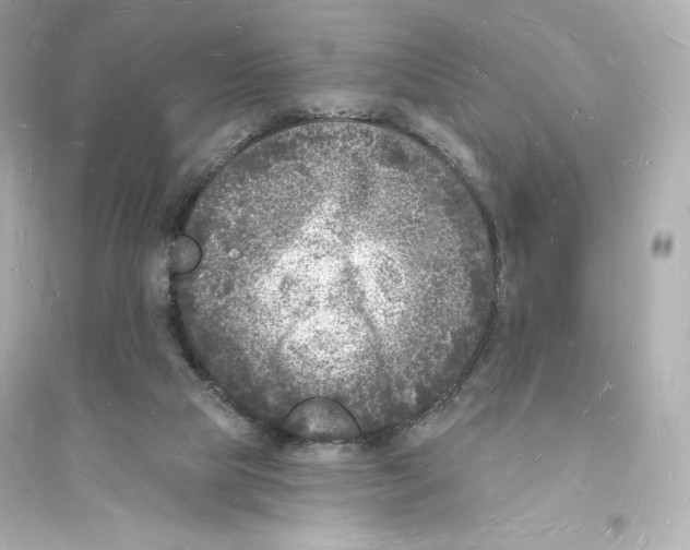 X0000093720065200711131024