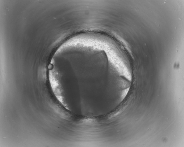 X0000093720067200711131024