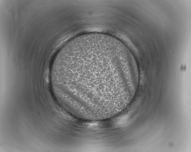 X0000093720068200711131024