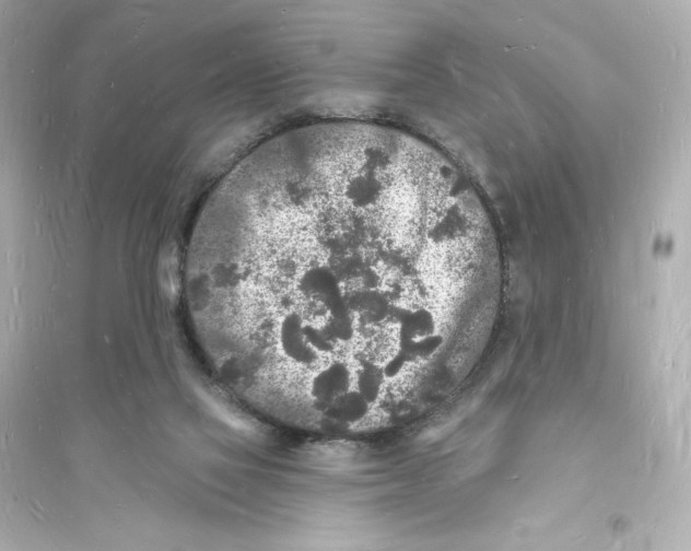 X0000093720069200711131024