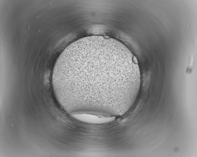 X0000093720073200711131024