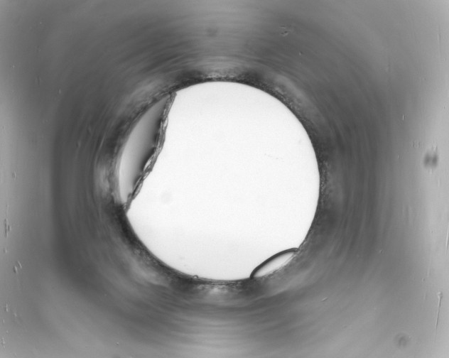 X0000093720074200711131024