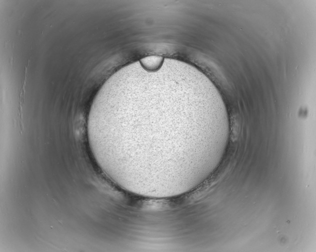 X0000093720077200711131024