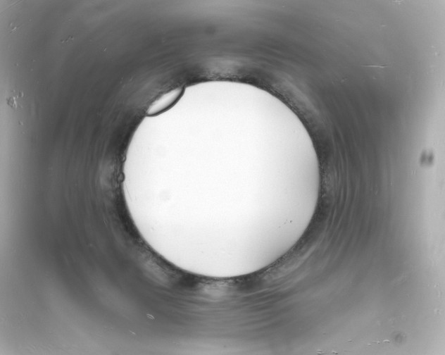 X0000093720079200711131024