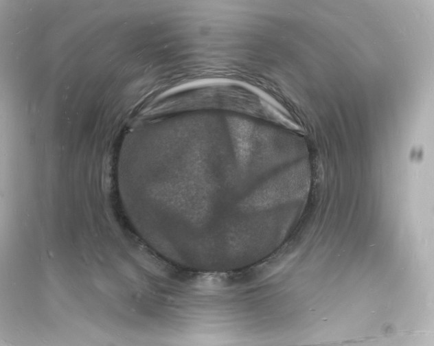 X0000093720080200711131024