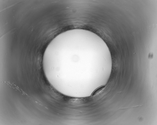 X0000093720082200711131024