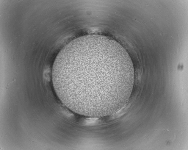 X0000093720090200711131024