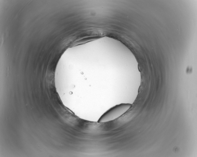 X0000093720096200711131024