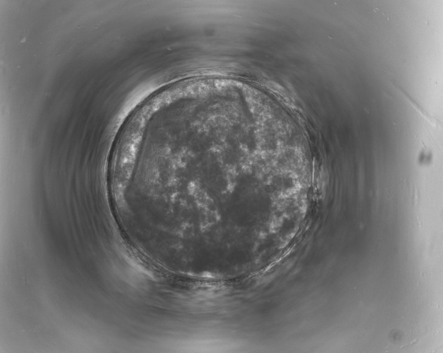 X0000093720099200711131023