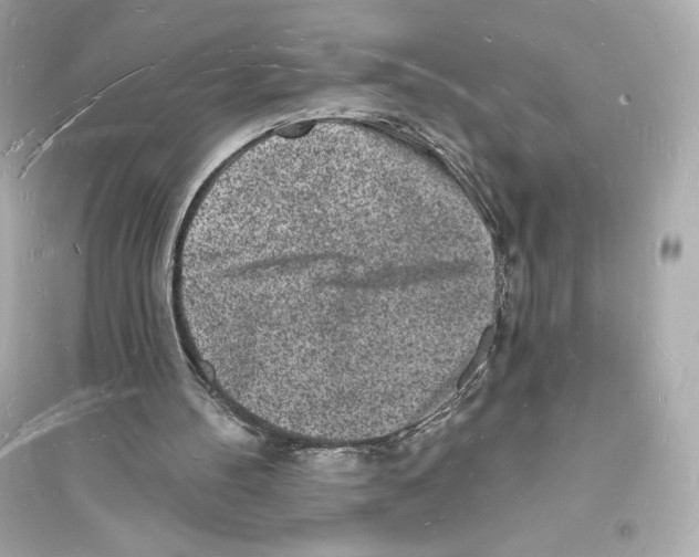 X0000093720100200711131023