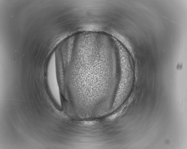 X0000093720105200711131023