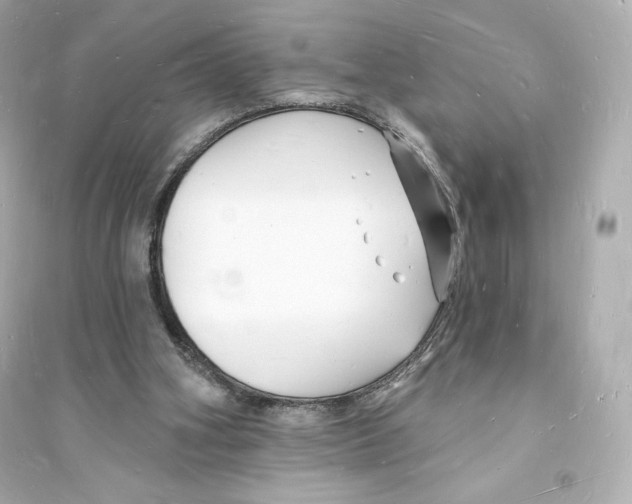 X0000093720106200711131023