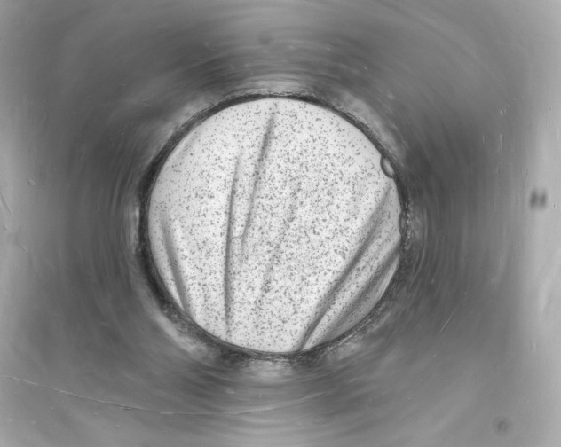 X0000093720110200711131023