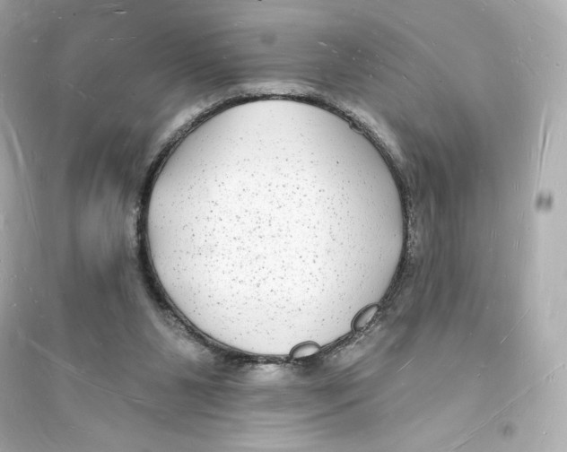 X0000093720111200711131023