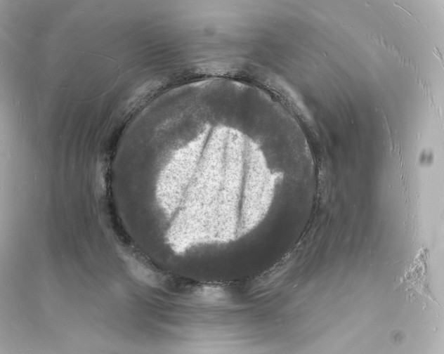 X0000093720114200711131023