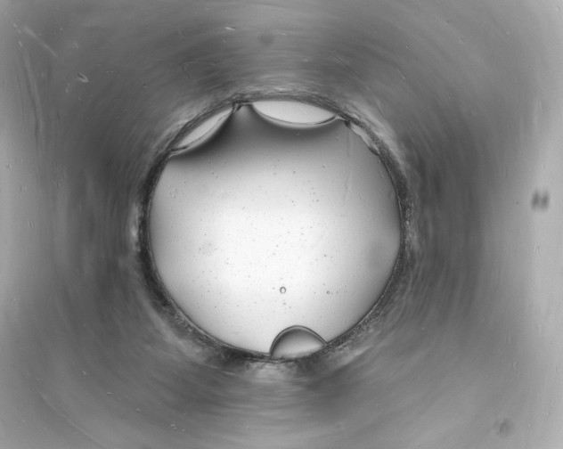 X0000093720115200711131023