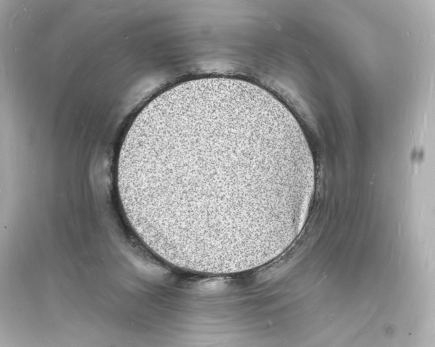 X0000093720116200711131023