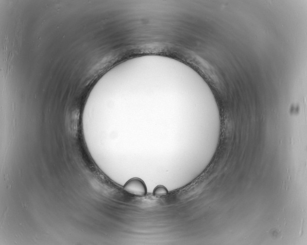 X0000093720118200711131023