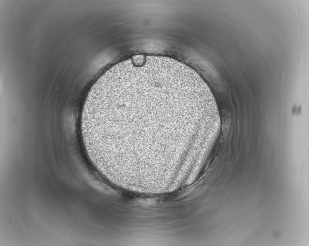 X0000093720120200711131023