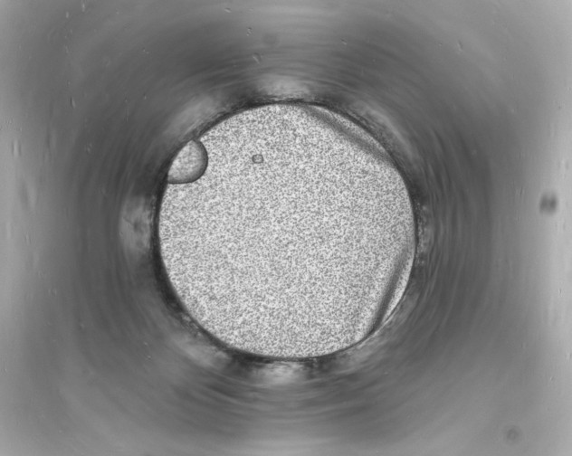 X0000093720124200711131023