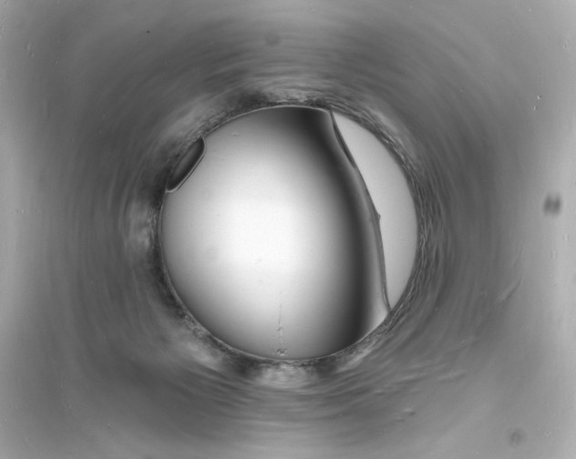 X0000093720125200711131023