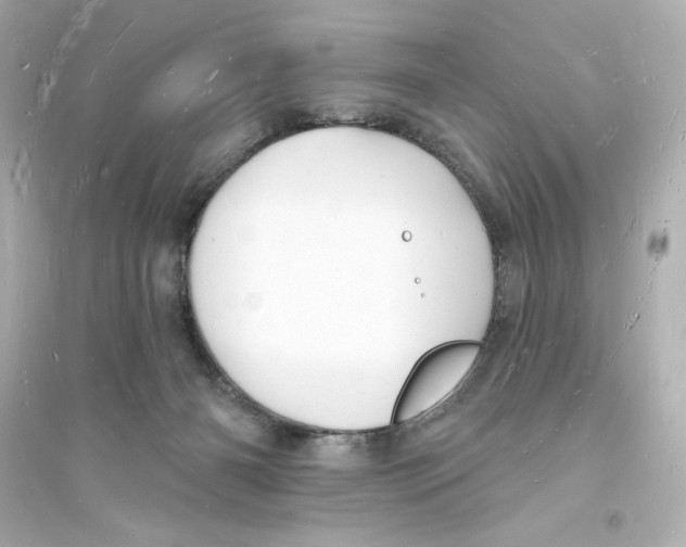 X0000093720126200711131023