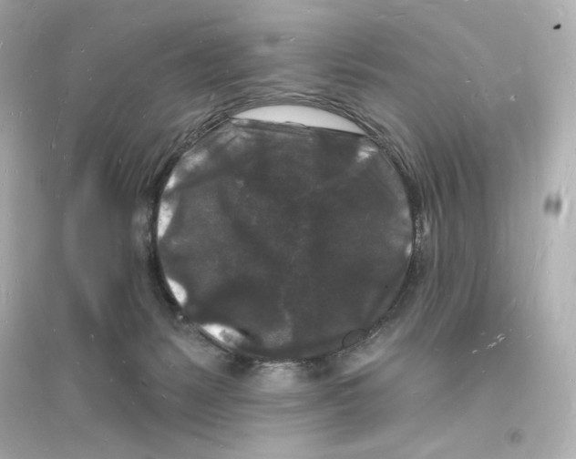 X0000093720127200711131023