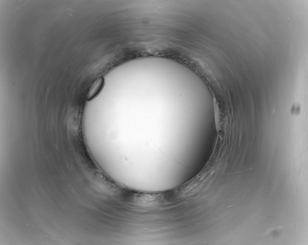 X0000093720129200711131023