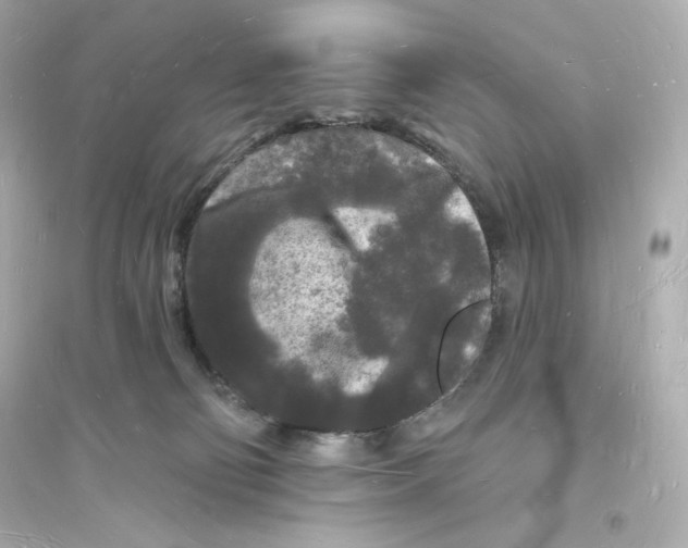 X0000093720130200711131023