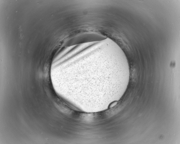 X0000093720131200711131023