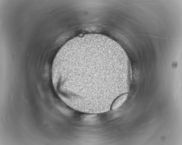 X0000093720132200711131023