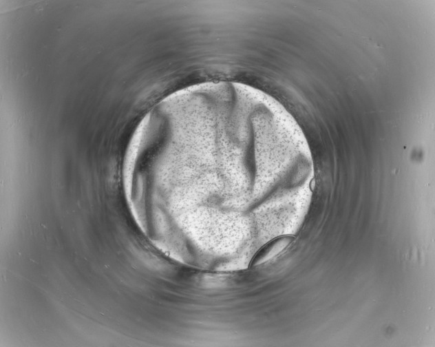 X0000093720134200711131023