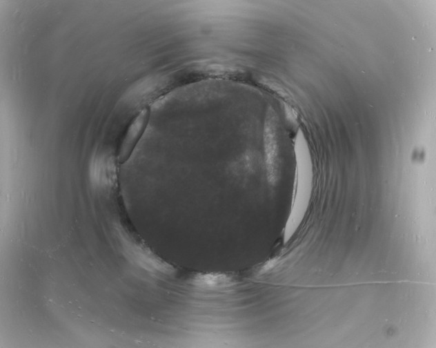 X0000093720137200711131023