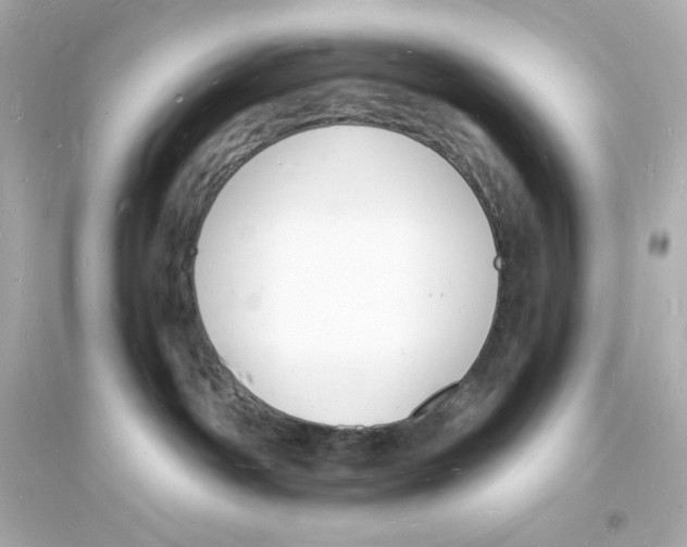 X0000093720142200711131023