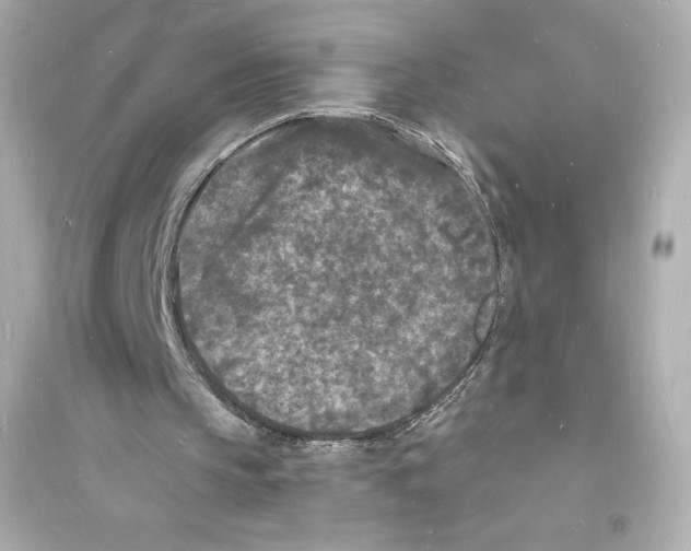 X0000093720145200711131022