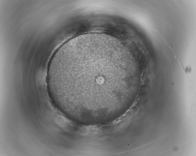 X0000093720146200711131022