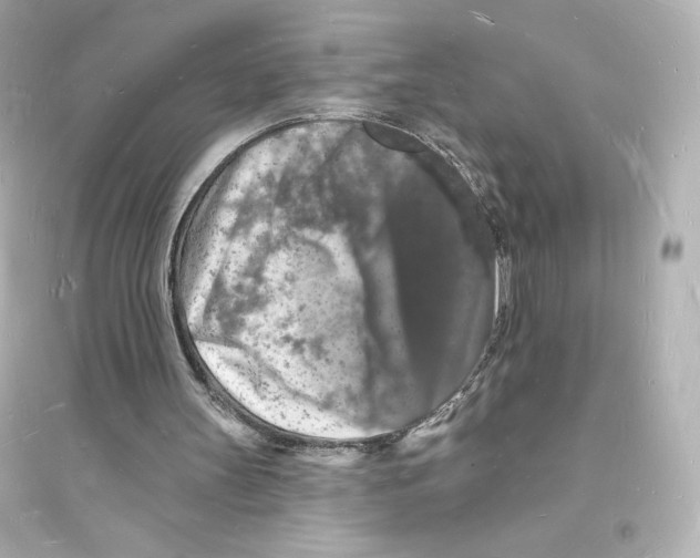 X0000093720147200711131022