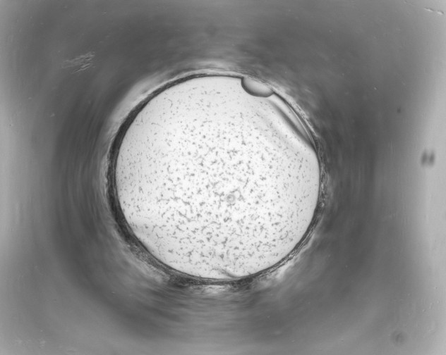 X0000093720151200711131022