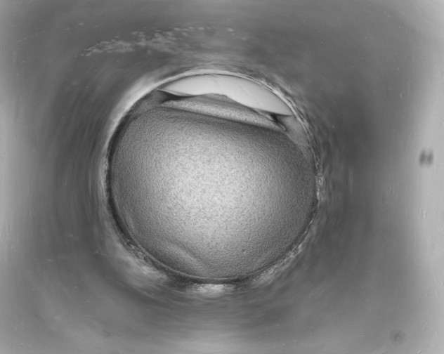 X0000093720152200711131022