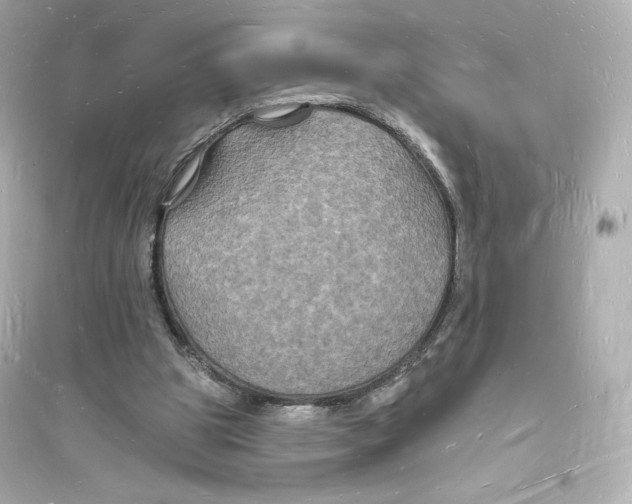 X0000093720153200711131022