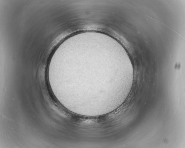 X0000093720155200711131022