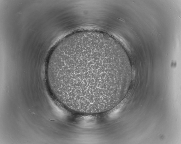 X0000093720158200711131022