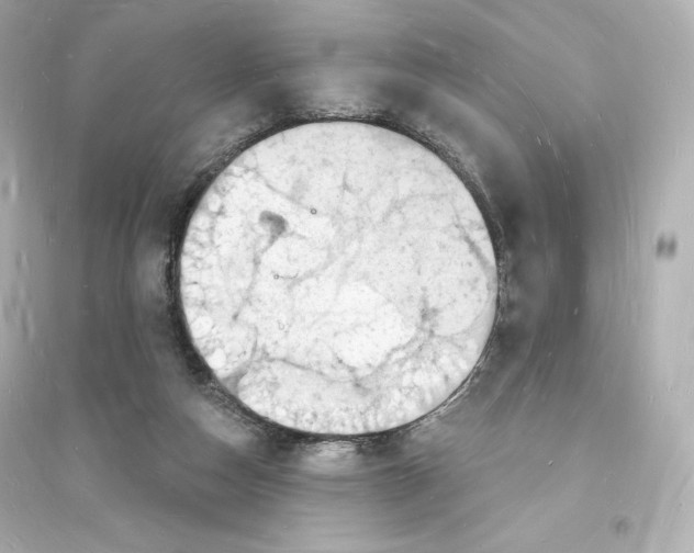 X0000093720162200711131022