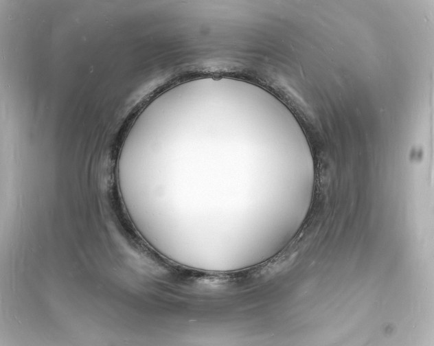 X0000093720164200711131022