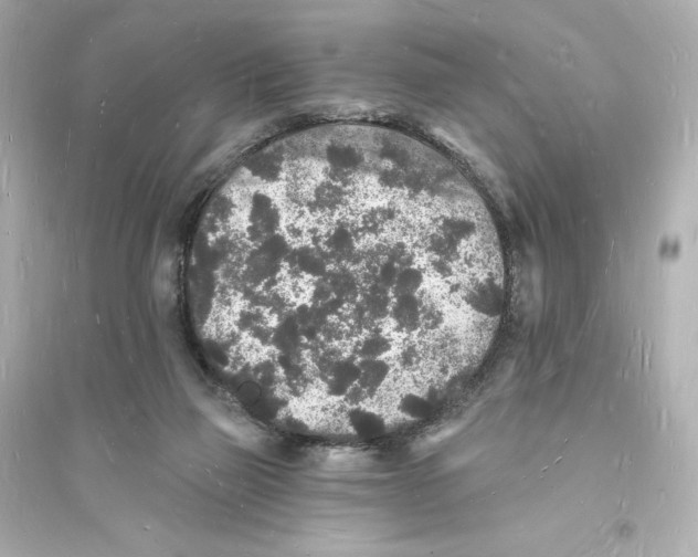 X0000093720165200711131022