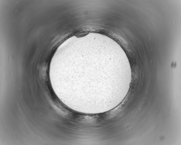 X0000093720166200711131022